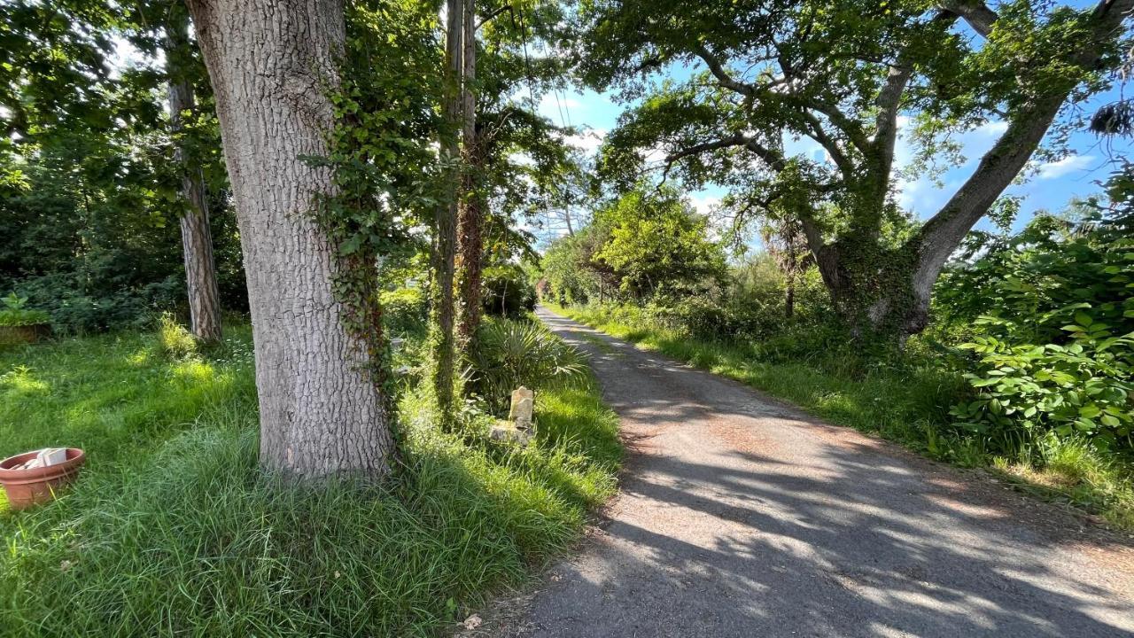 Cazaubon Metairie De Moutiquesヴィラ エクステリア 写真